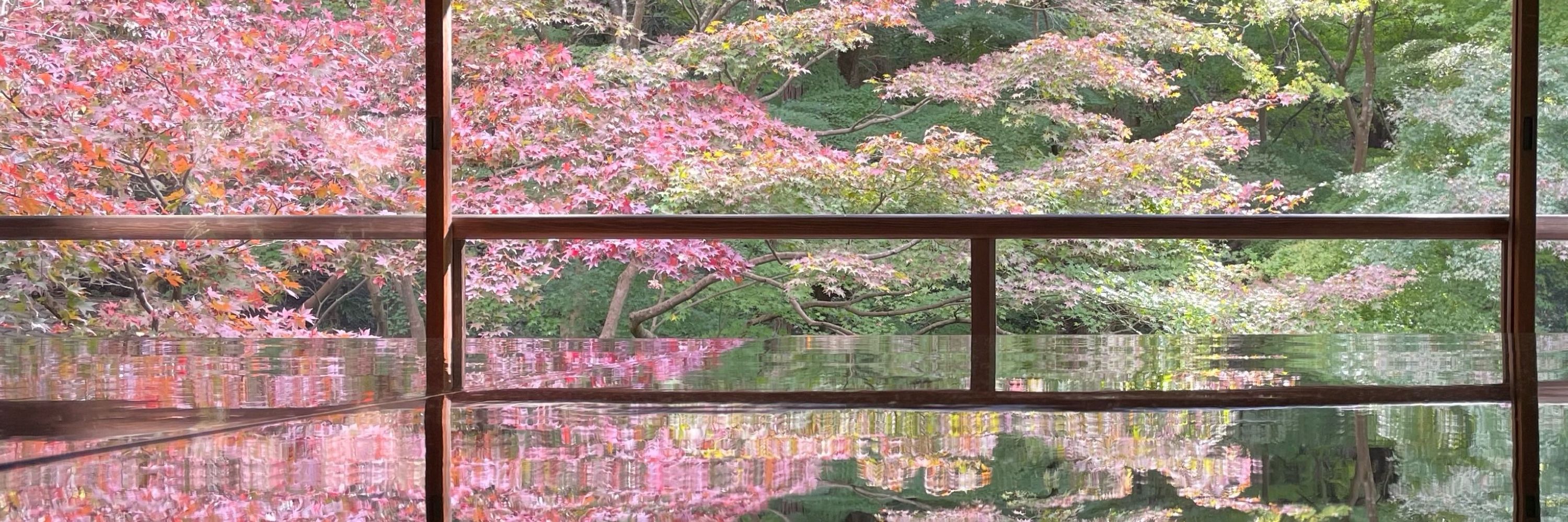 玲