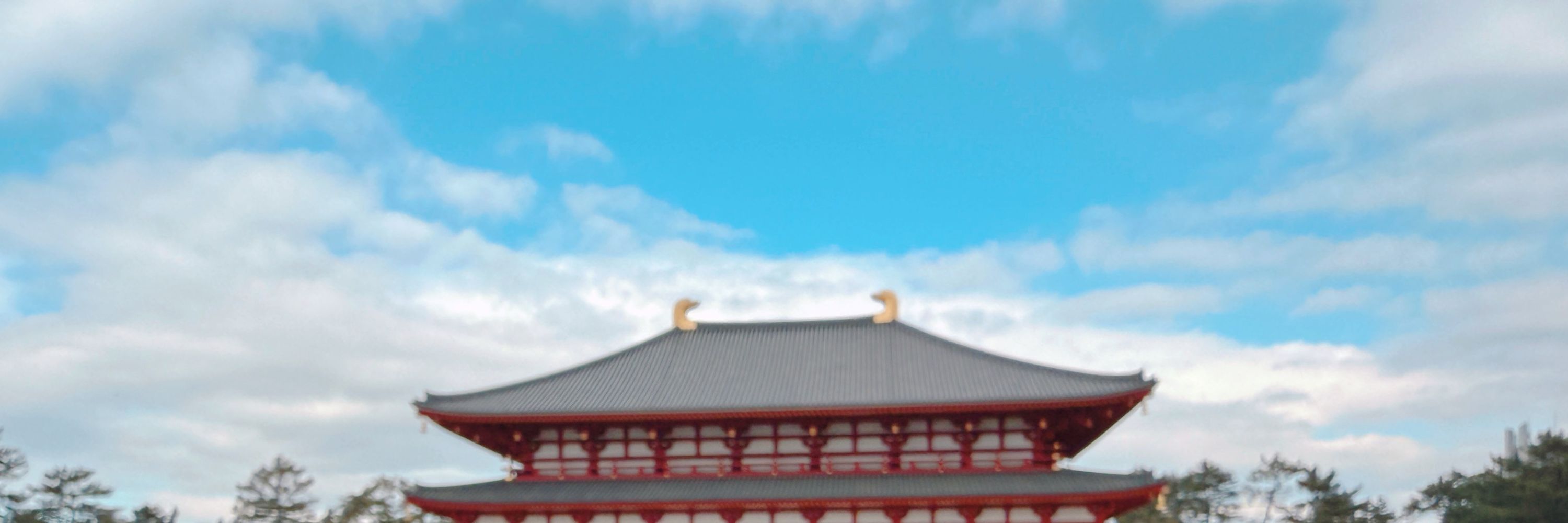もち