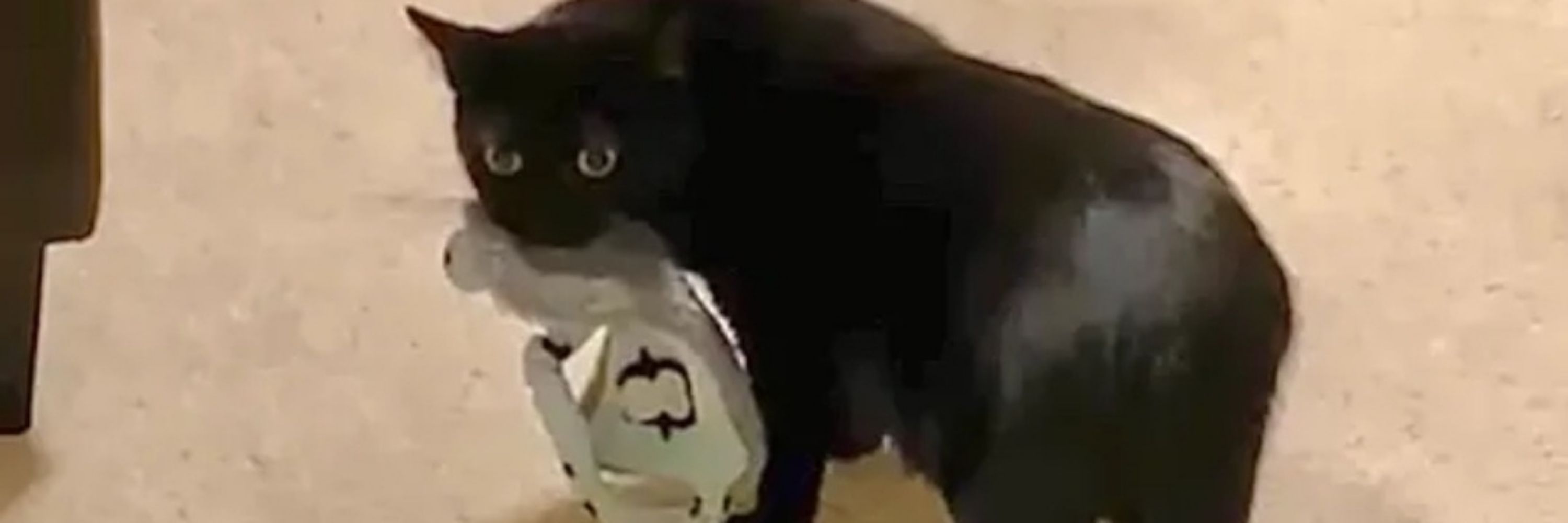 Dread Yule-Cat