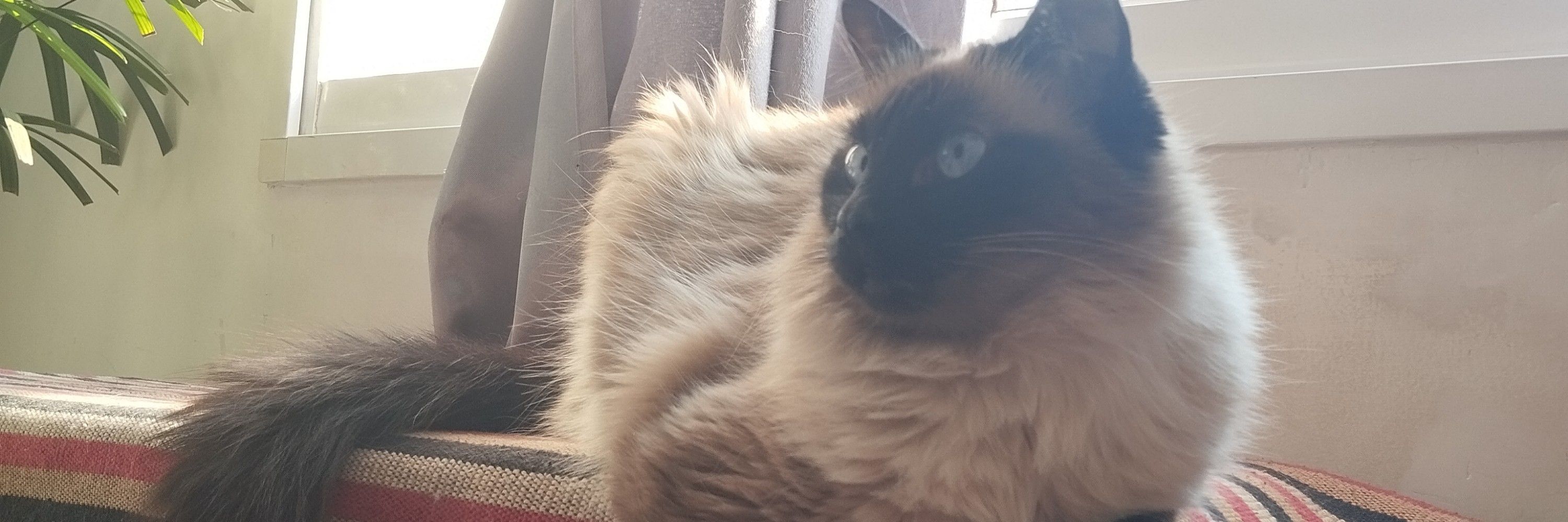 Eliza 