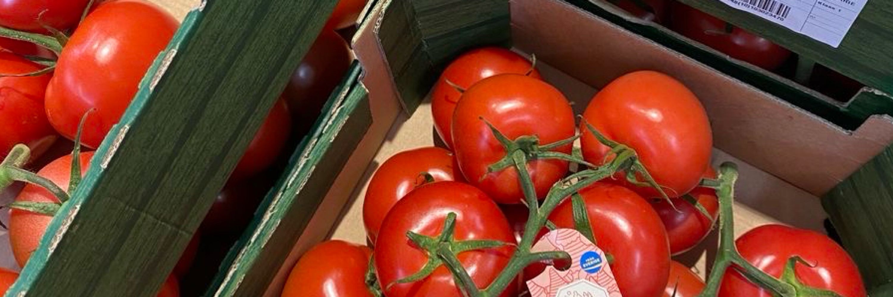 陸 🍅🐈 