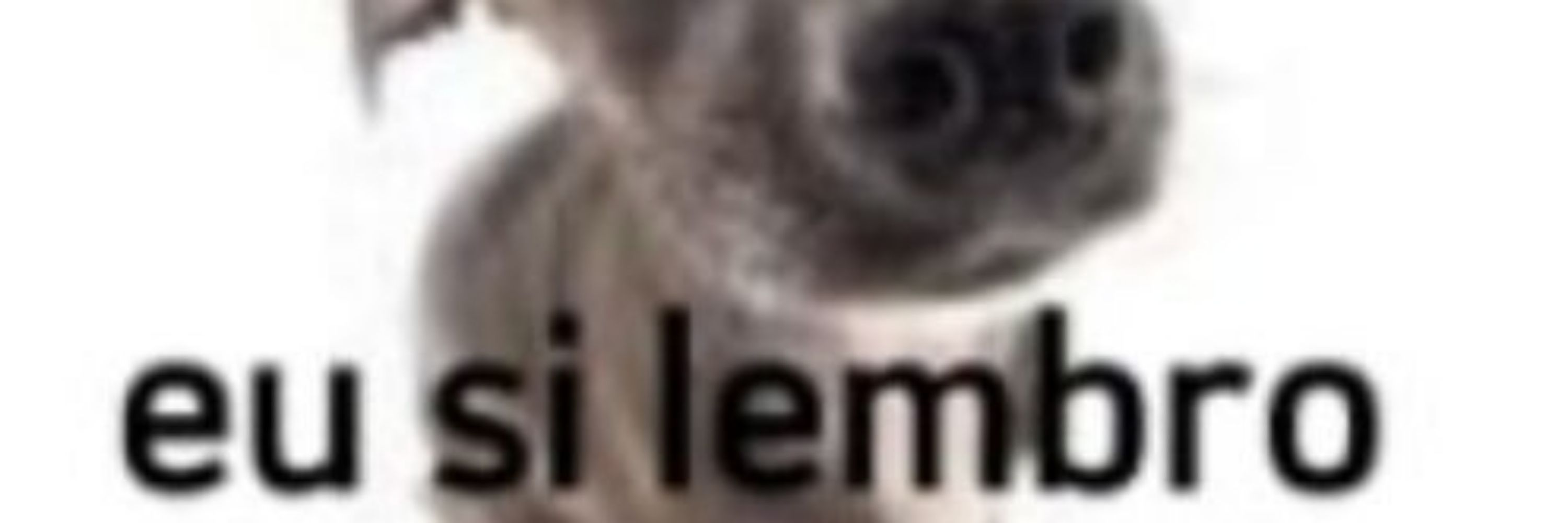Prikito gamer