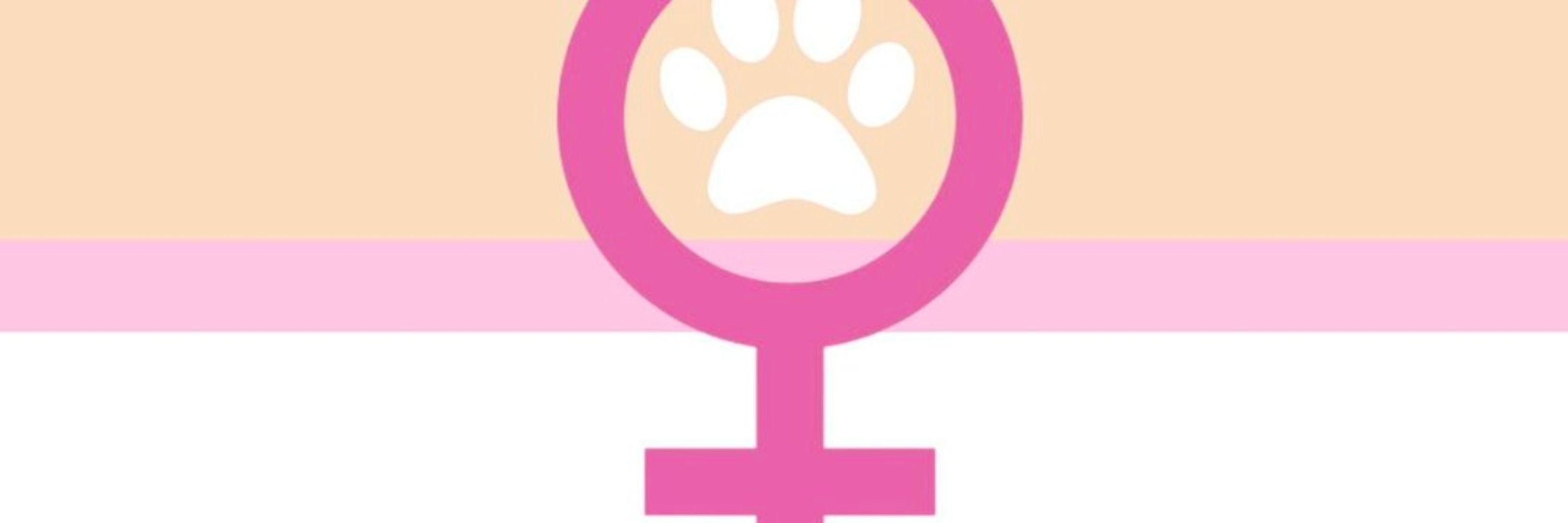 Your Local Puppygirl