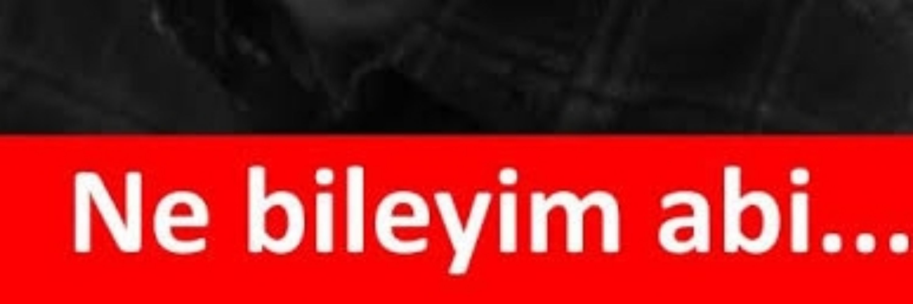 Anti-kapitalist, anti-faşist, anti-siyasal İslam, anti-AKP