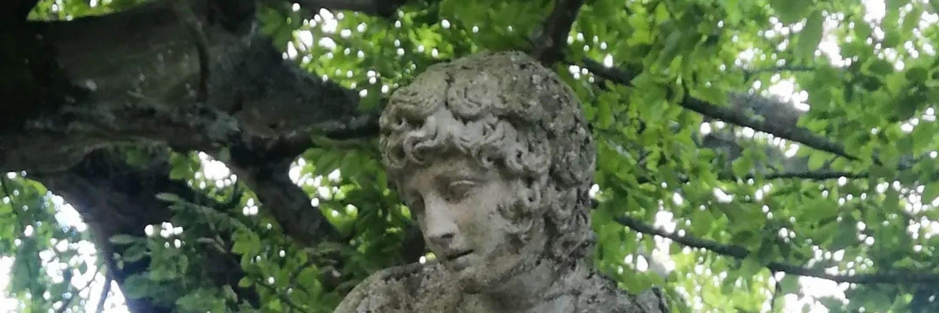 Angel🍃