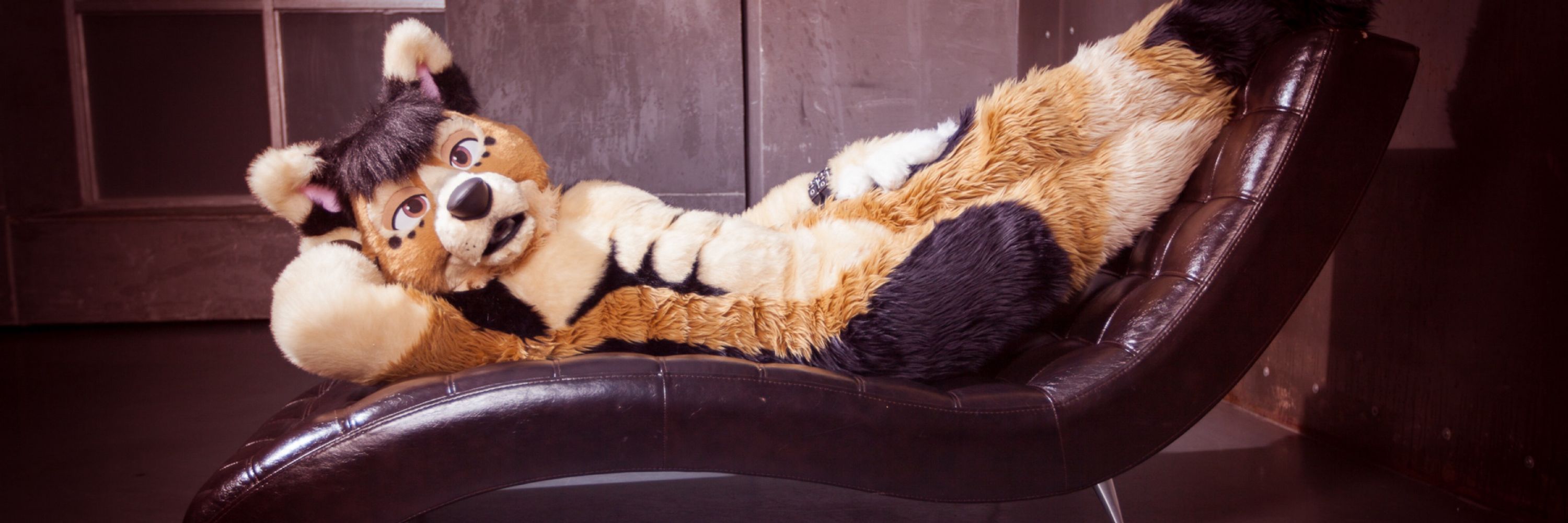 AvikFurry