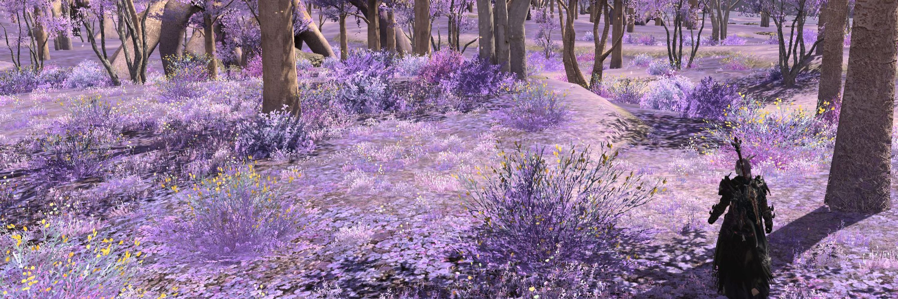 /pet | dawntrail'd