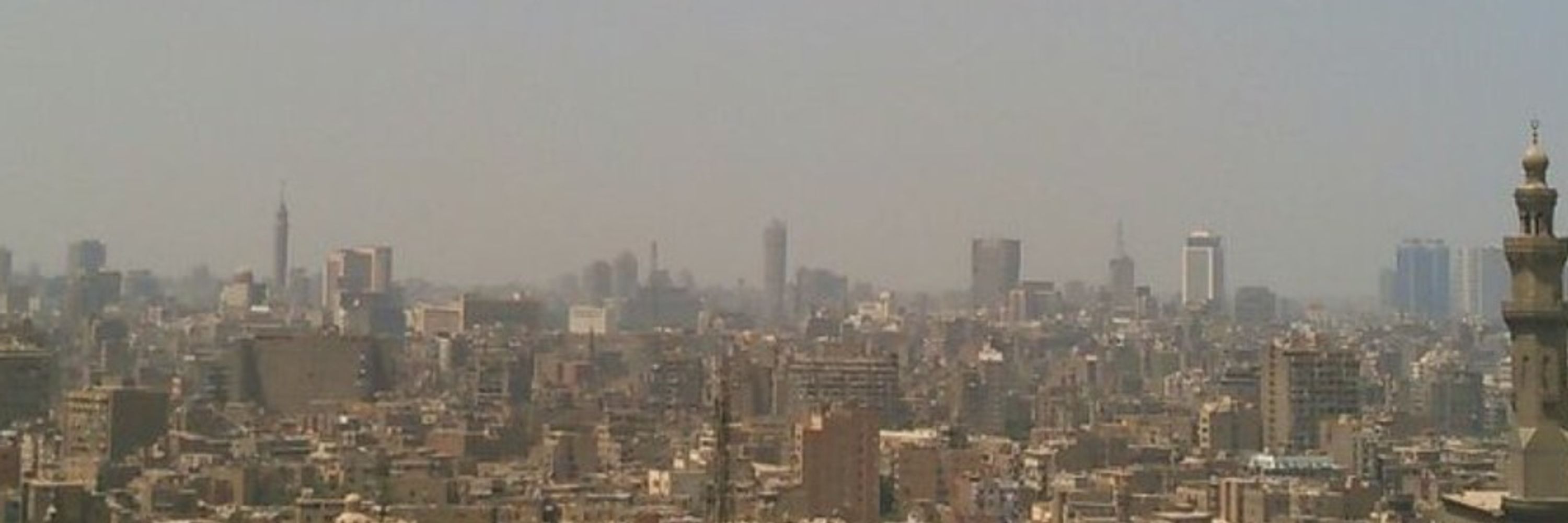 ضفدع مخمور（酩酊蛙）