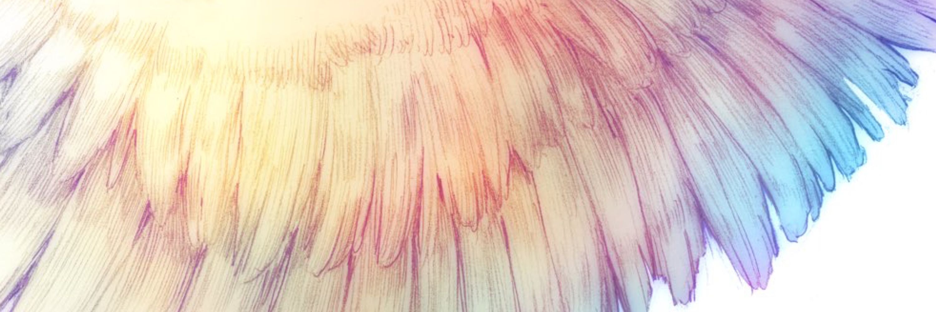 noxcaelestia
