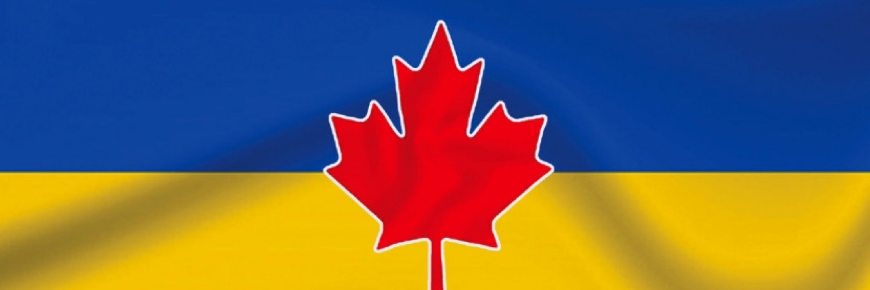 🇨🇦AlbertaBluesyCatz.bsky.social