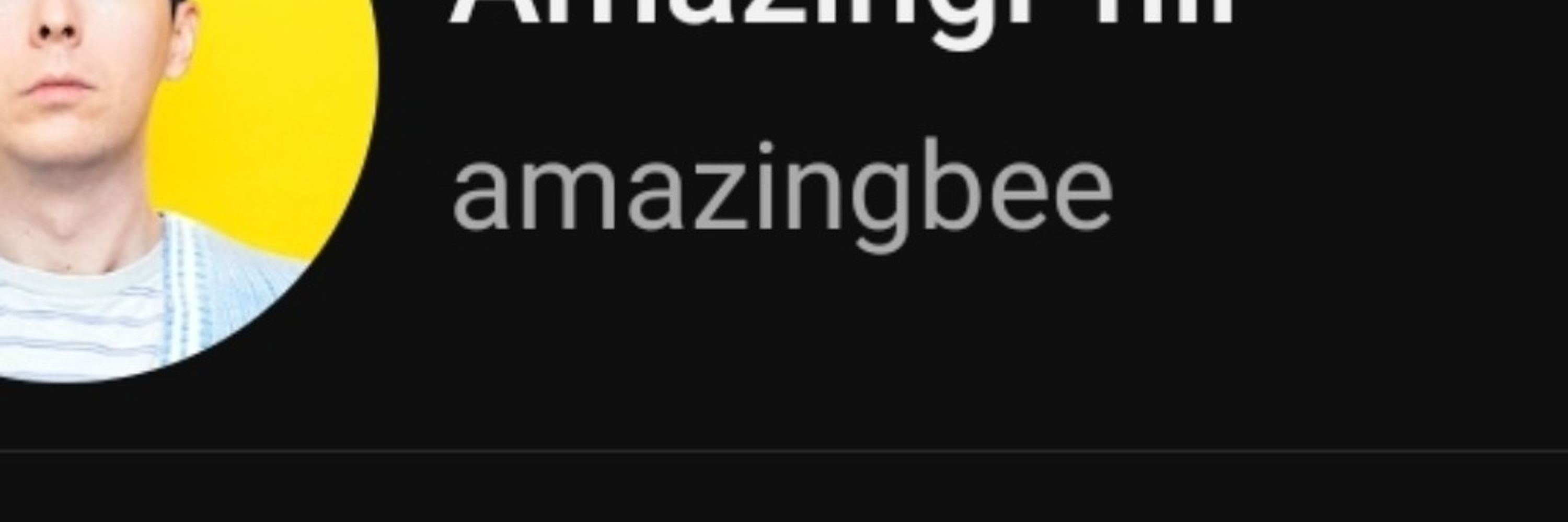 jestbee