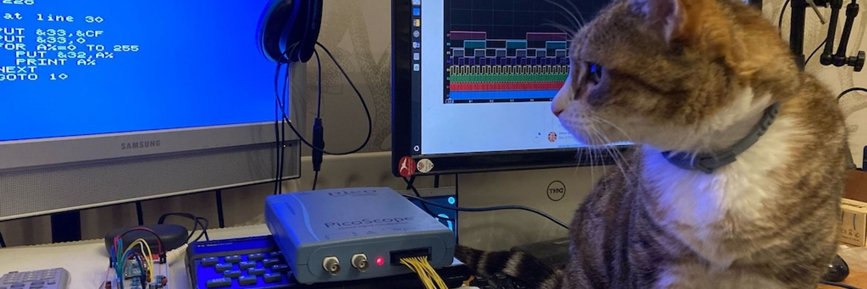L Break Into Program's Cat