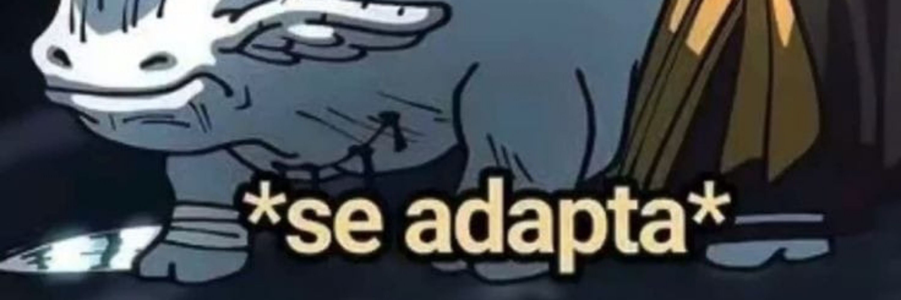 Gyro Zeppeli