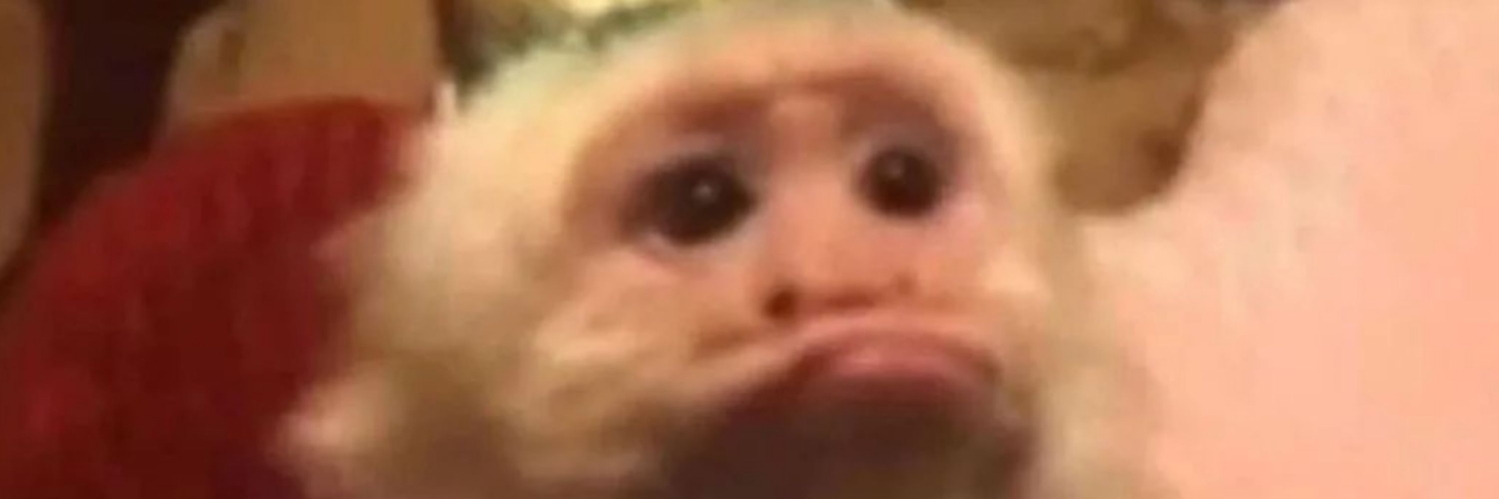 Lui