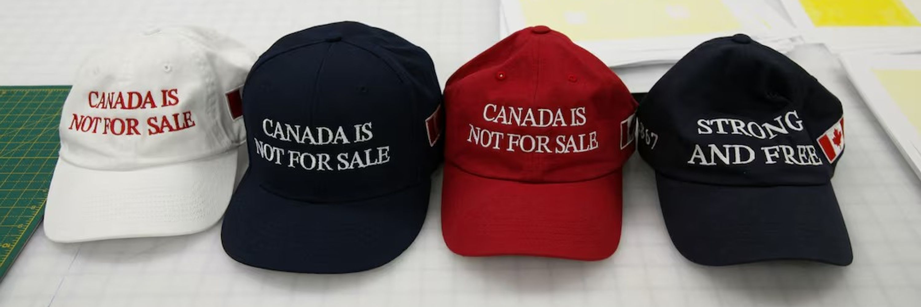 Bonita 🇨🇦