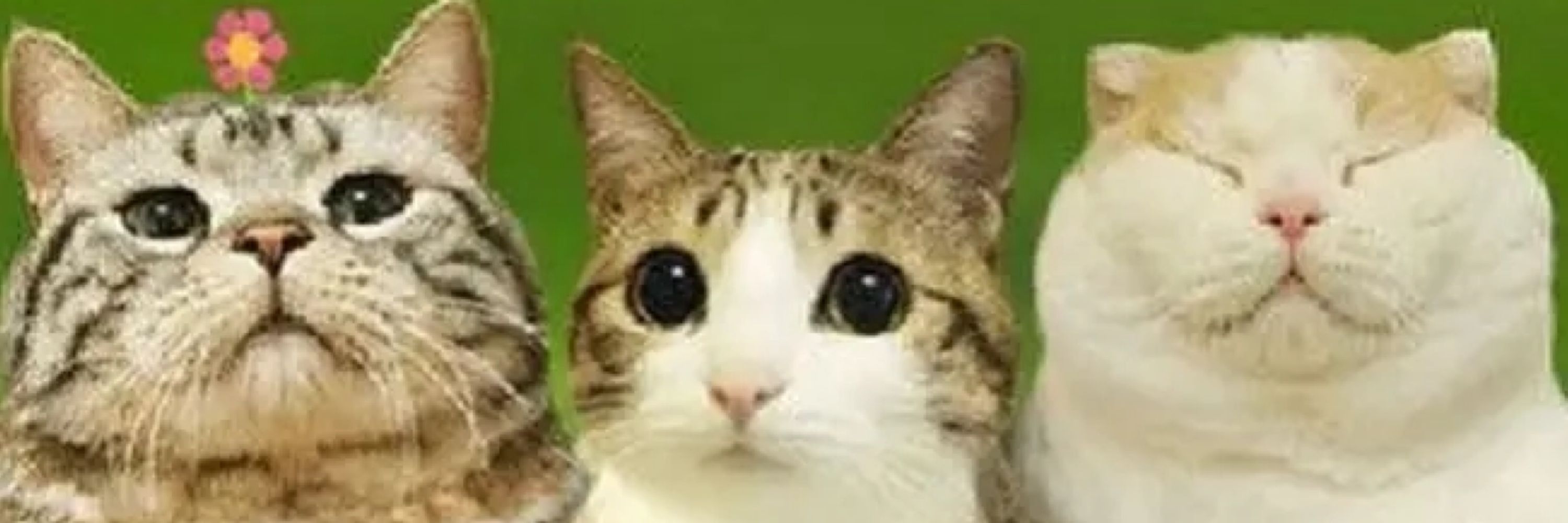 アレクシス