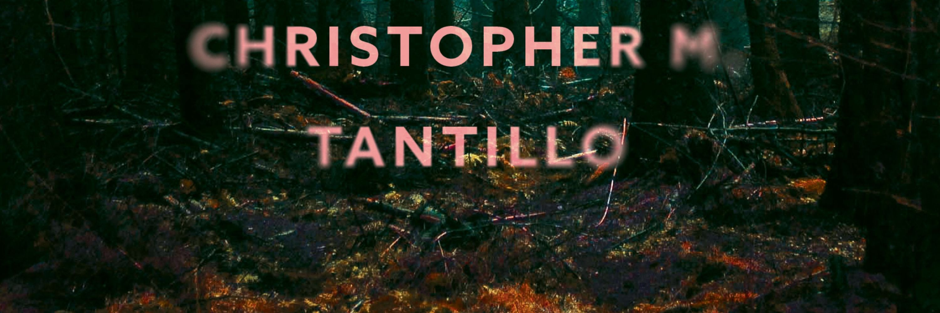 Christopher M. Tantillo