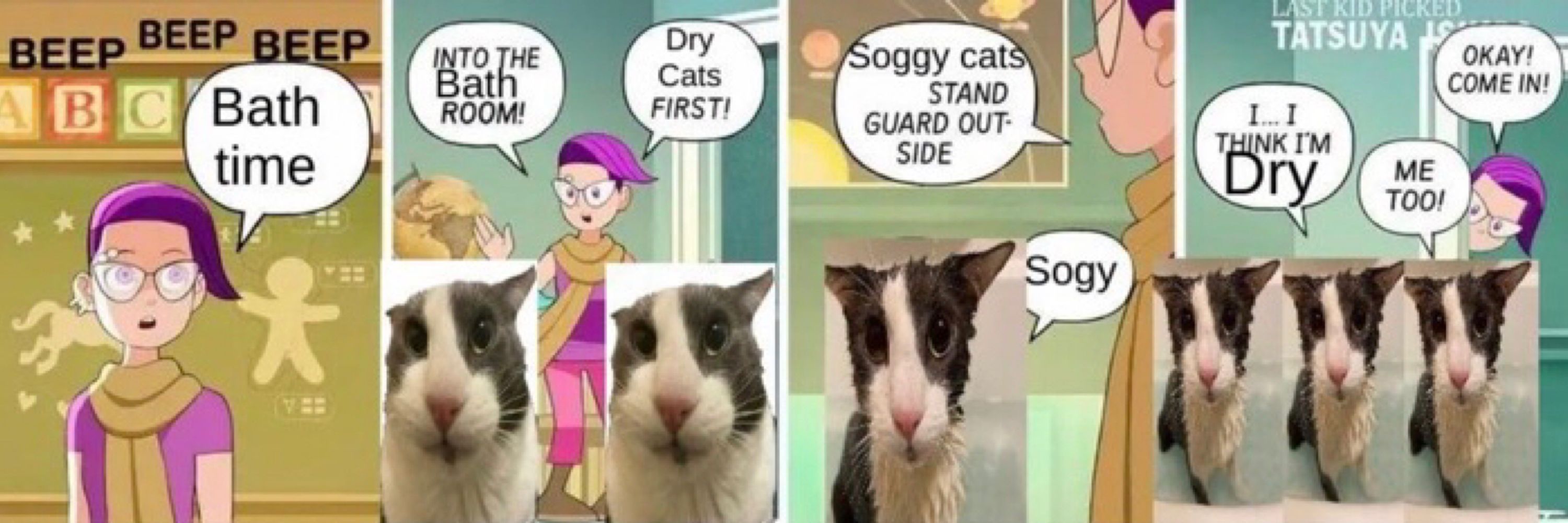 Cat is here 🤔🏳️‍⚧️