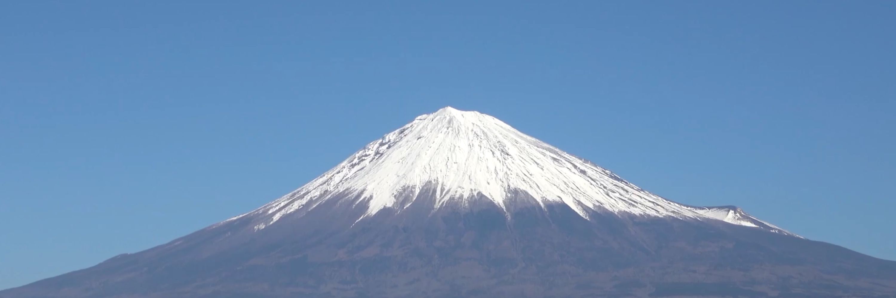 12 Seconds of Saijiki Every Day 🗻 毎日十二秒間の『歳時記』