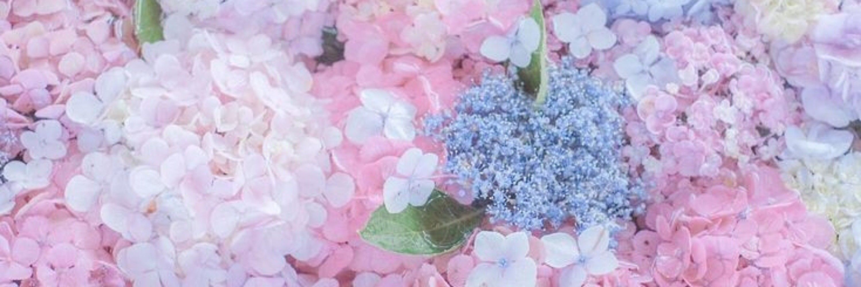 ˚◦○˚.Pityl ──★ ˙ ̟🌷 !!