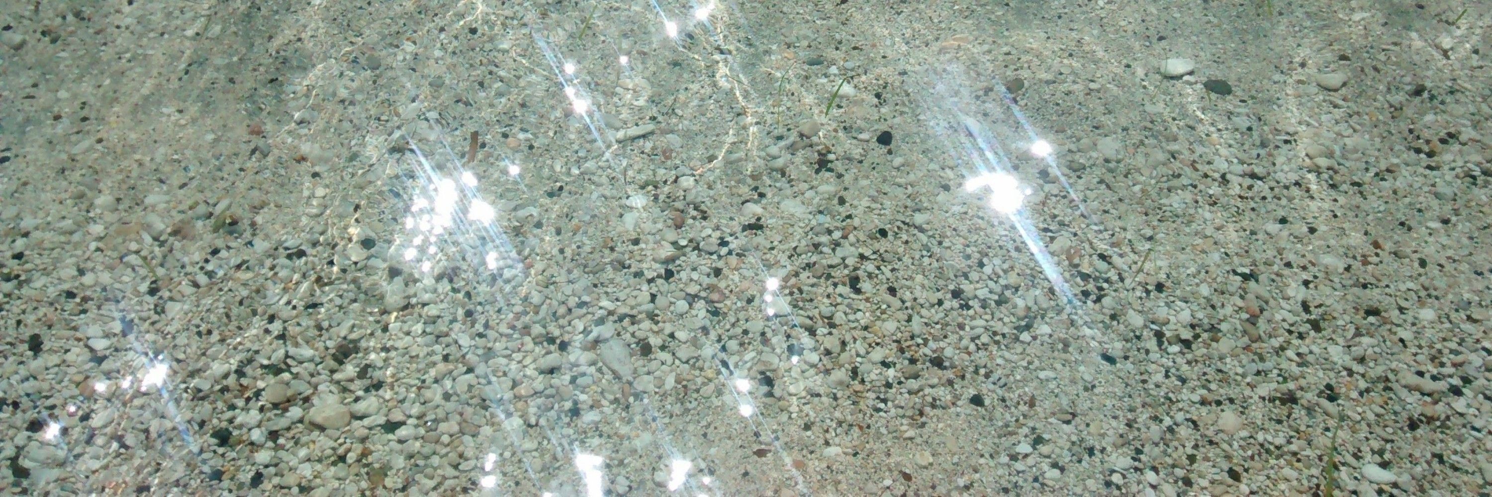 Pikul