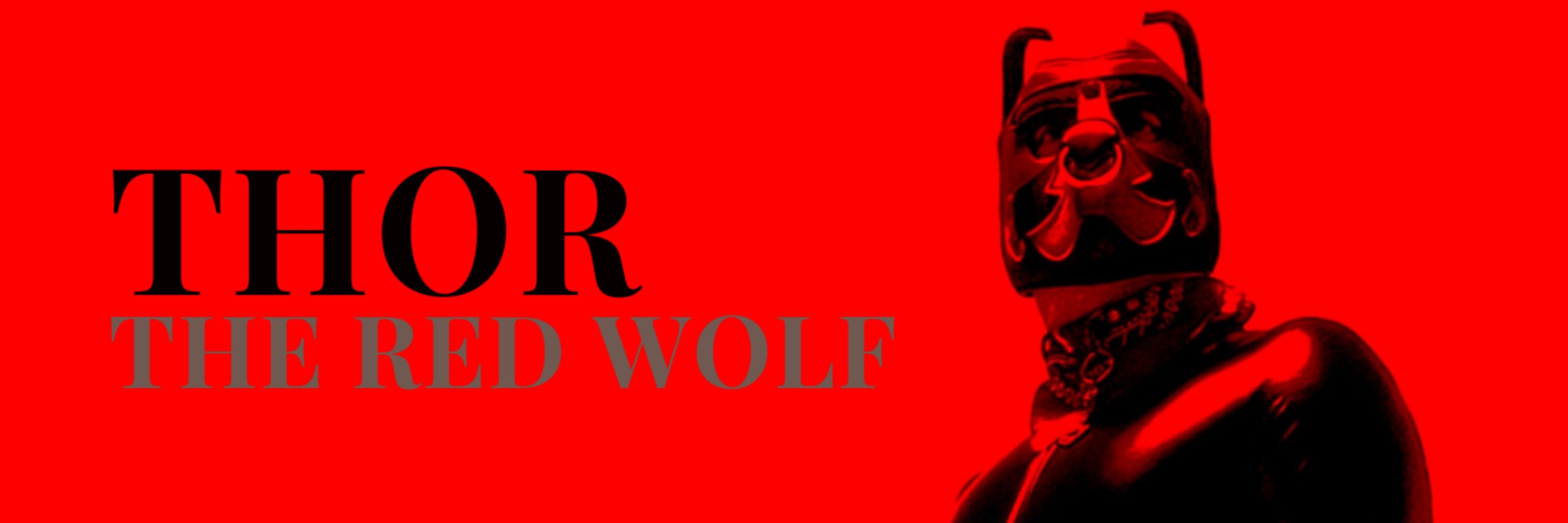 Thor the spanish Red Wolf