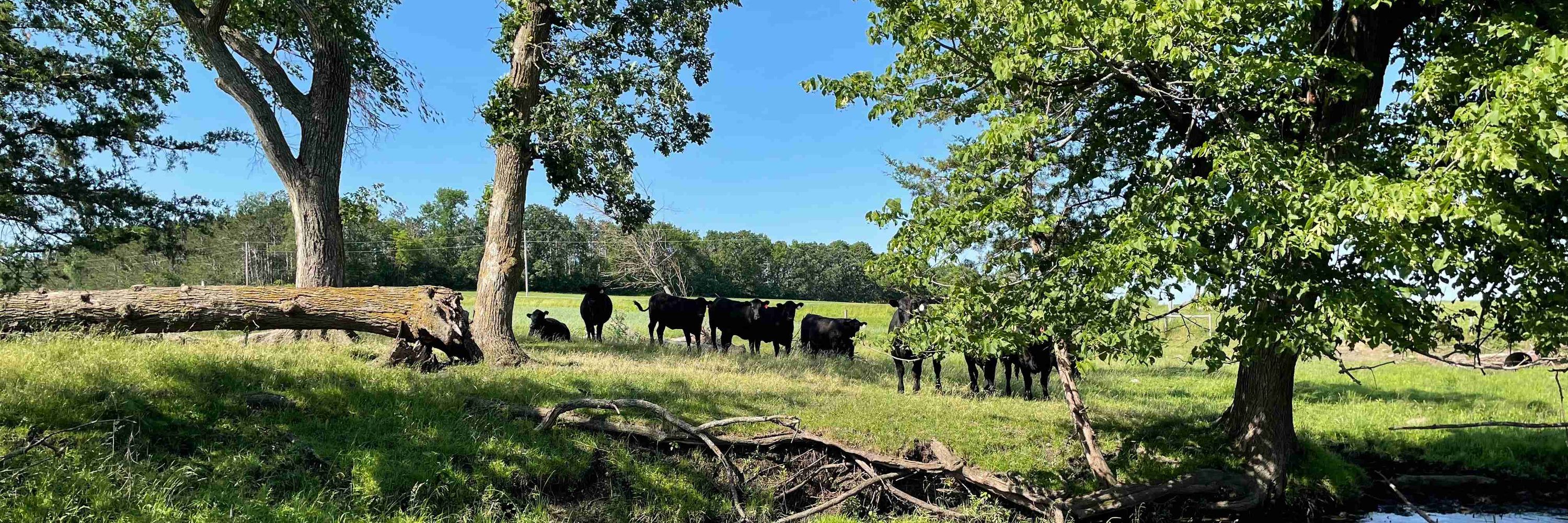 Sustainable Farming Association