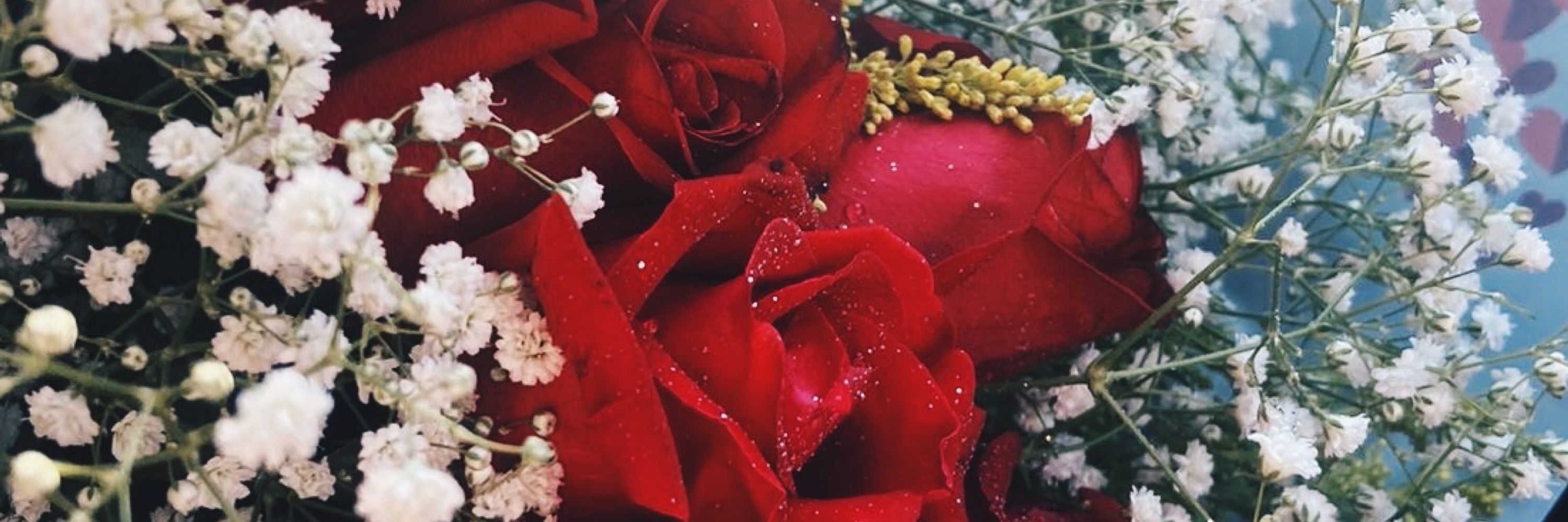 Ig: _Almeida77._