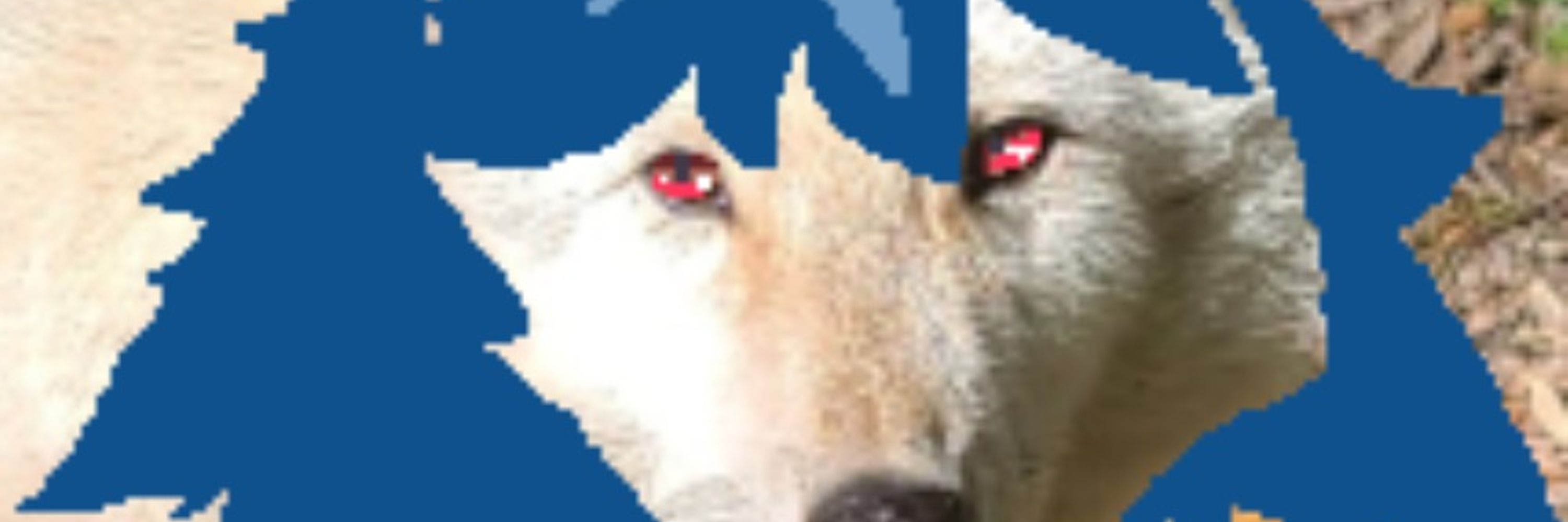 sastrunvalerio
