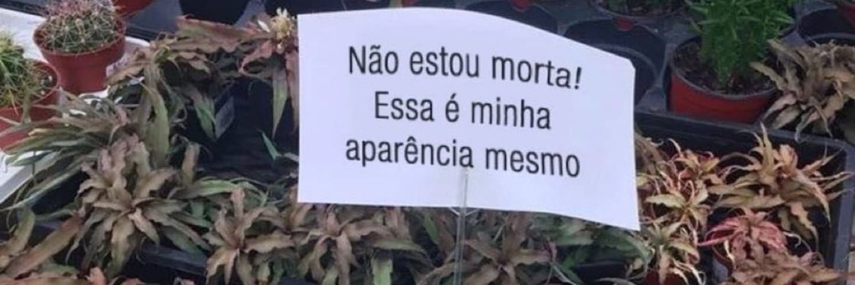 helli milgrau