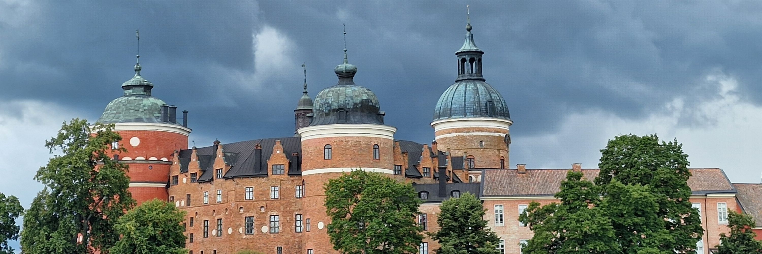 Lillabus läser