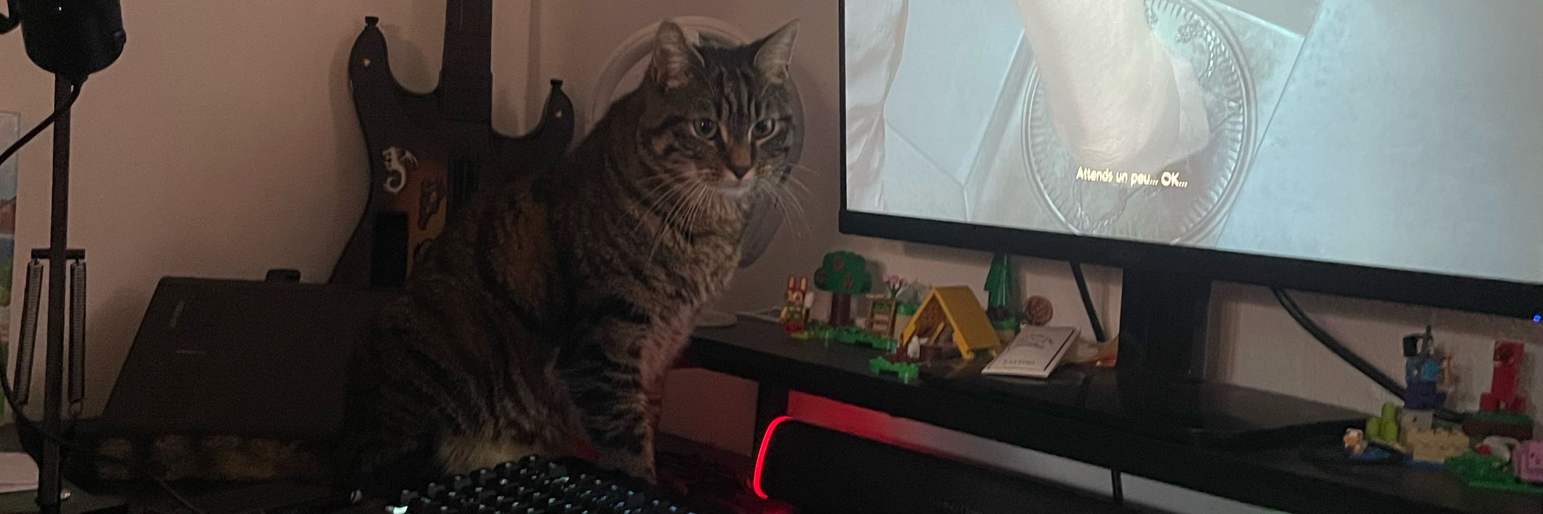 Shi
