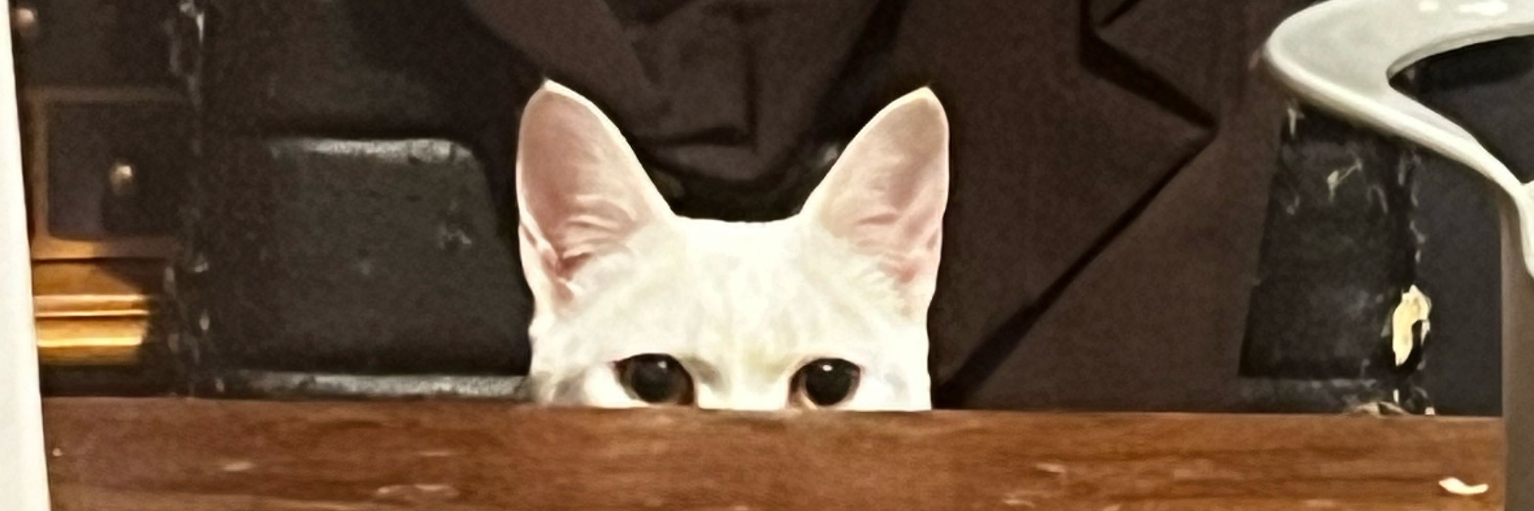 Harley Goode