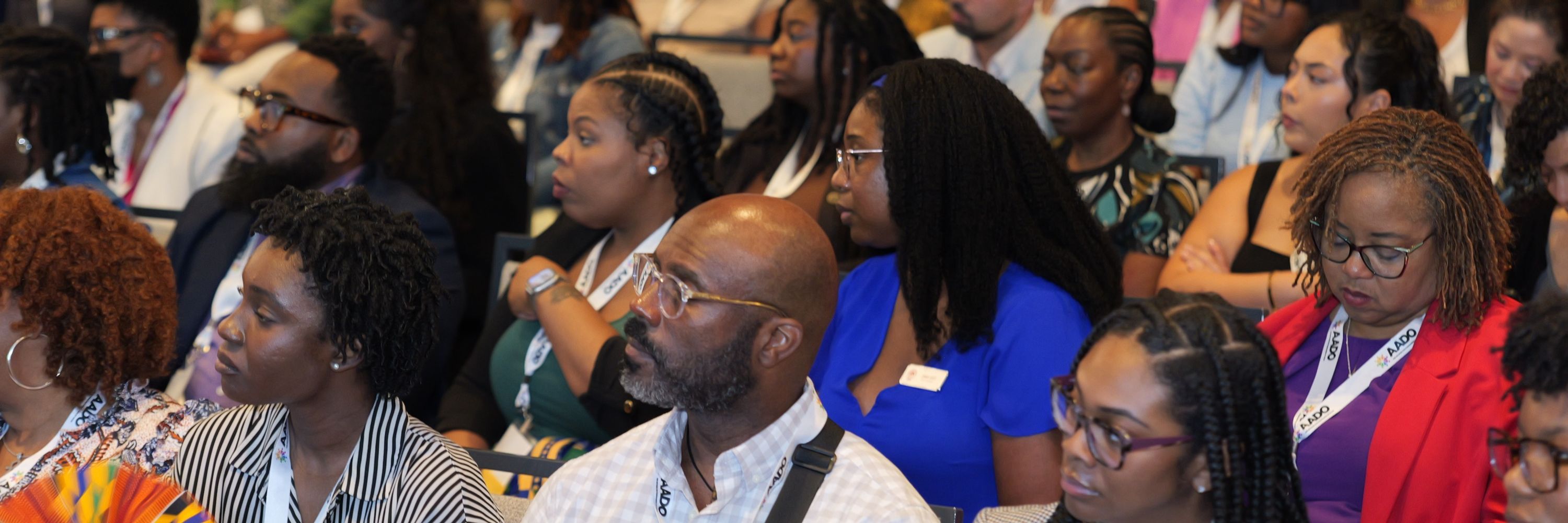 The African American Development Officers (AADO) Network