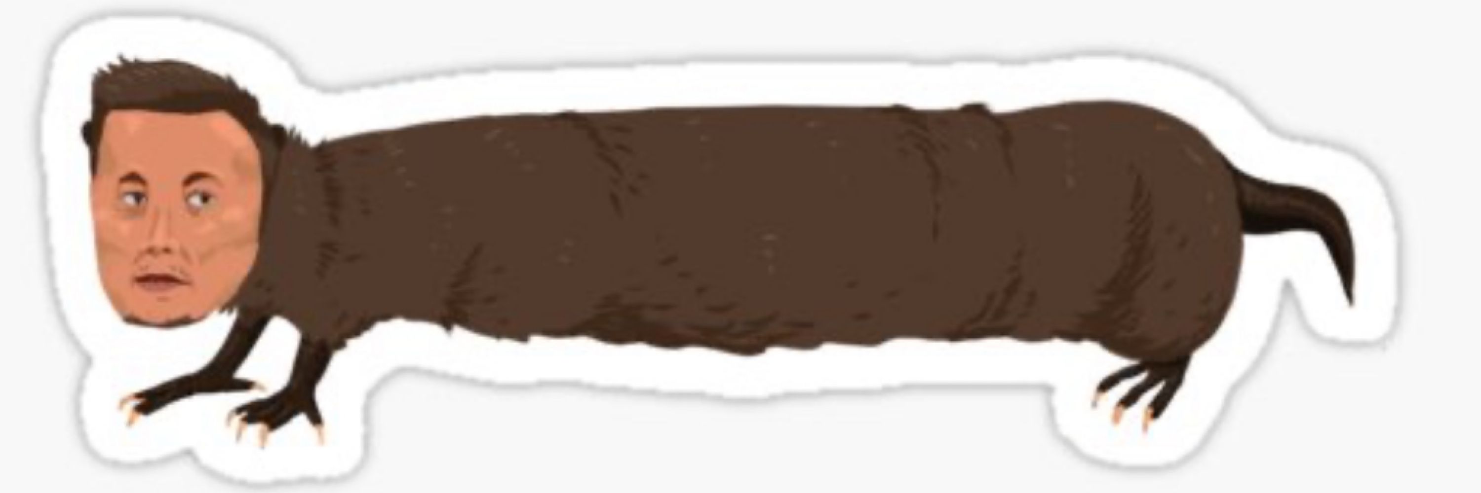 Mecinconnu