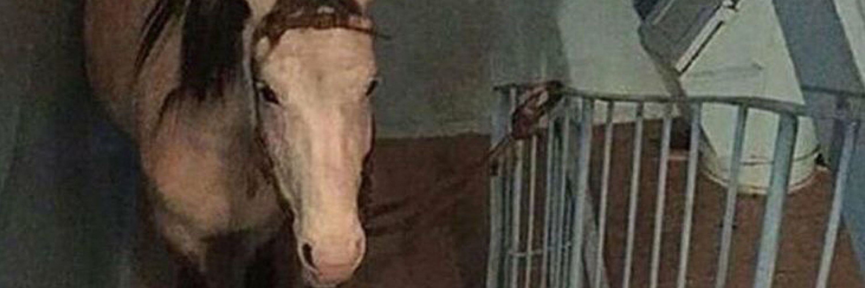 Fotos Incompreensíveis