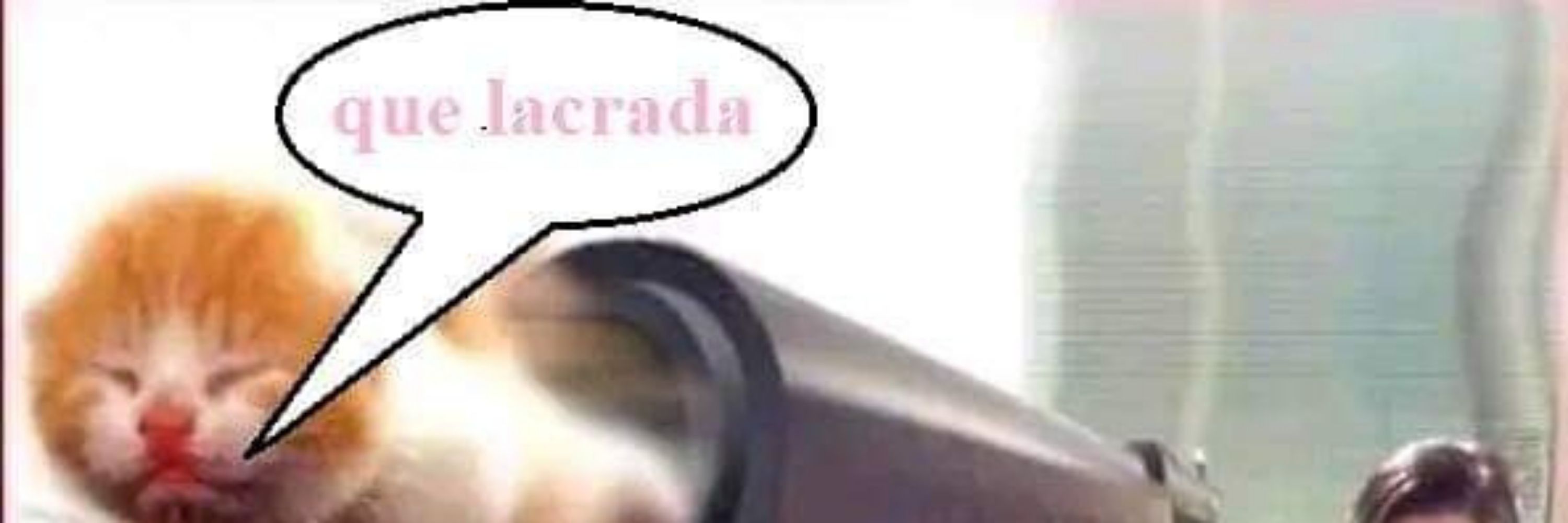 rato da clorexidina