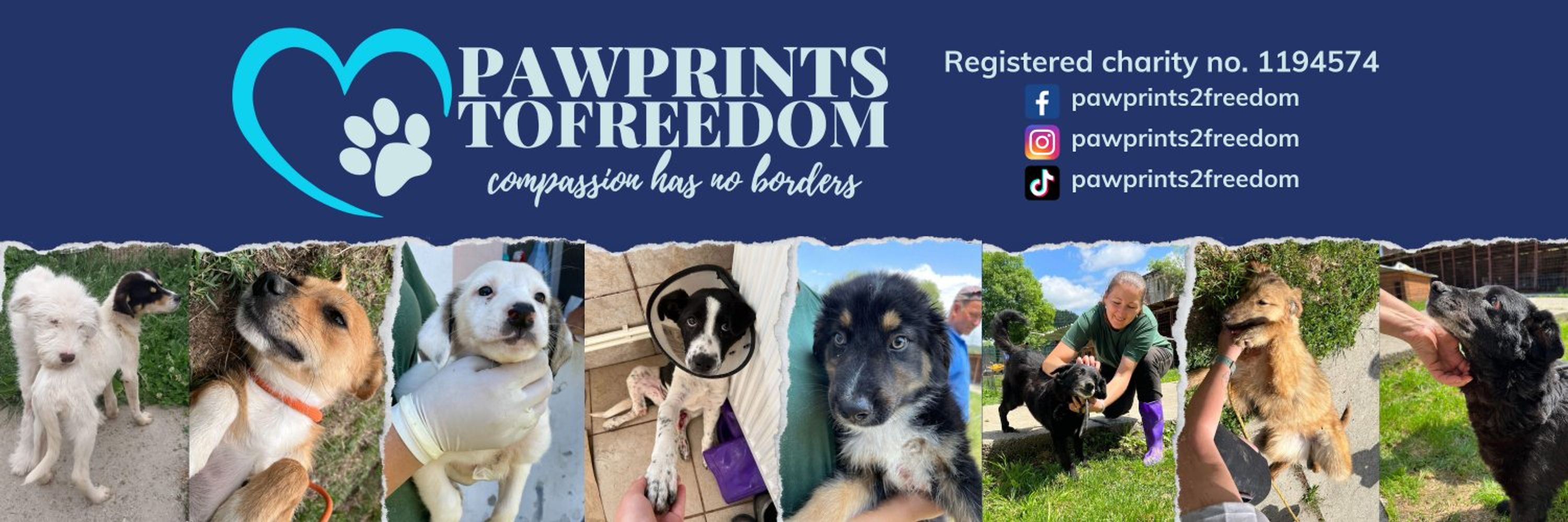 Pawprints to Freedom Dog Rescue 🐾