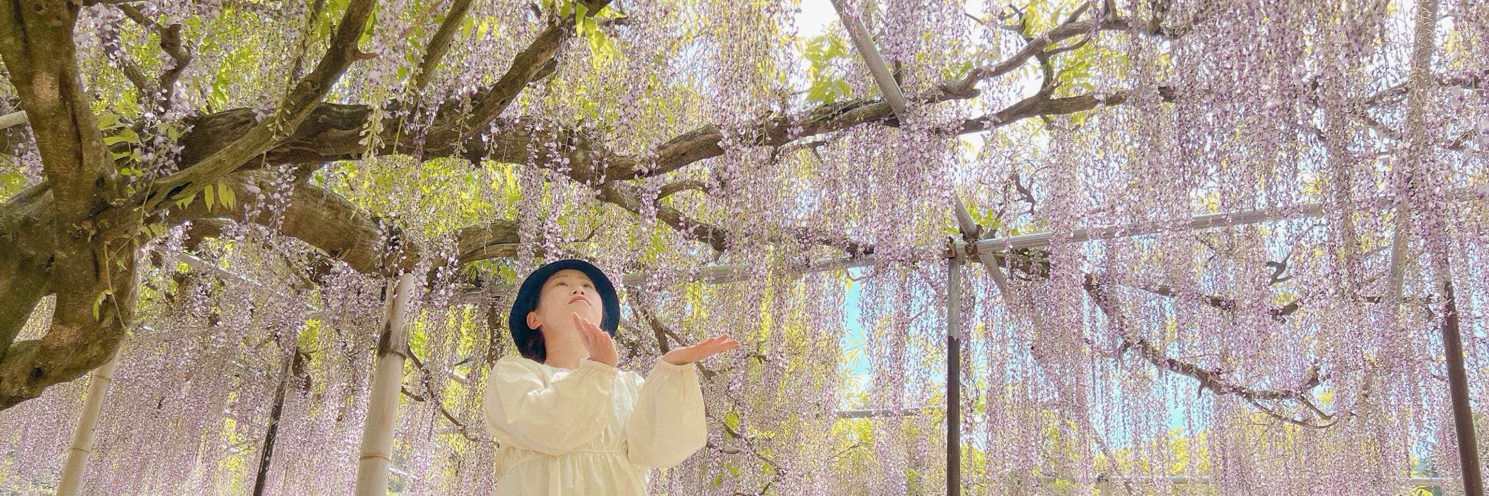 踏子(HUM!CO후미코)@仲介者型INFP-T🧚‍♀️