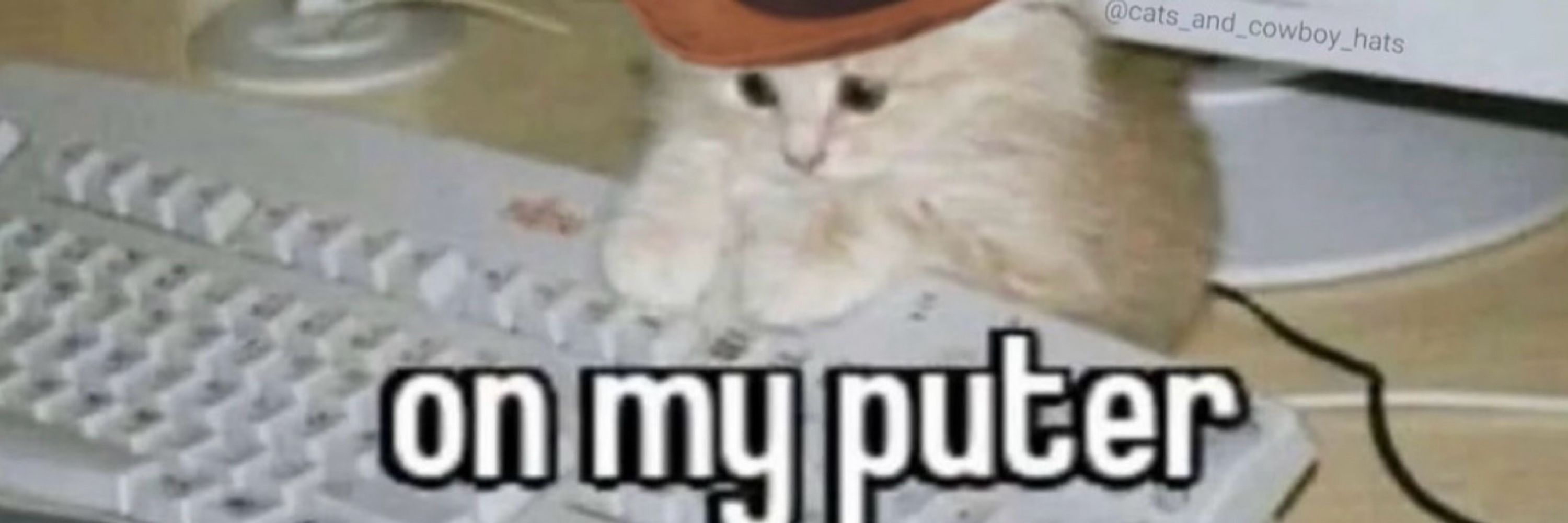 Bru