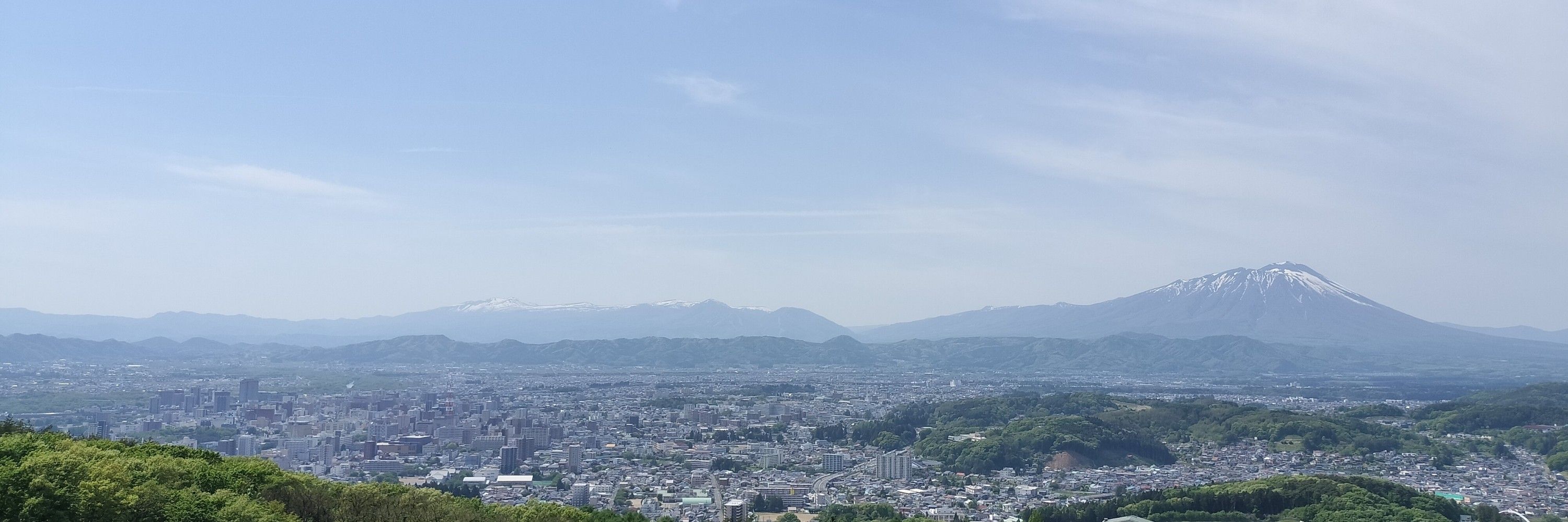 藤兎ニハル