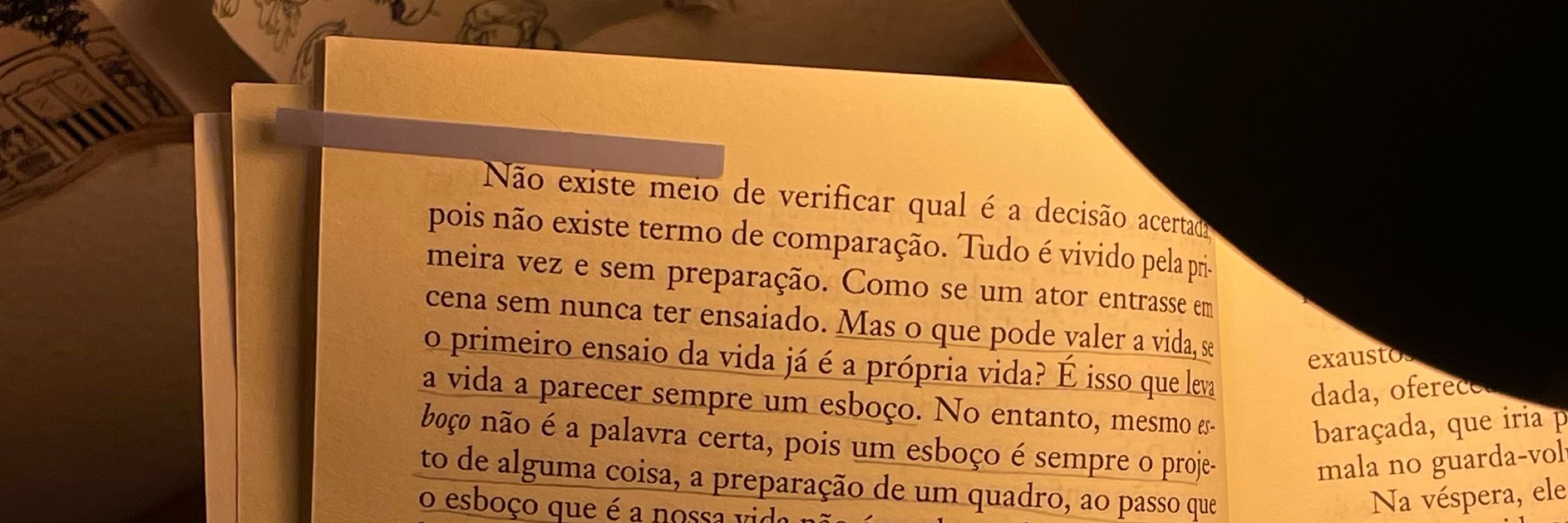 joaoaboesing