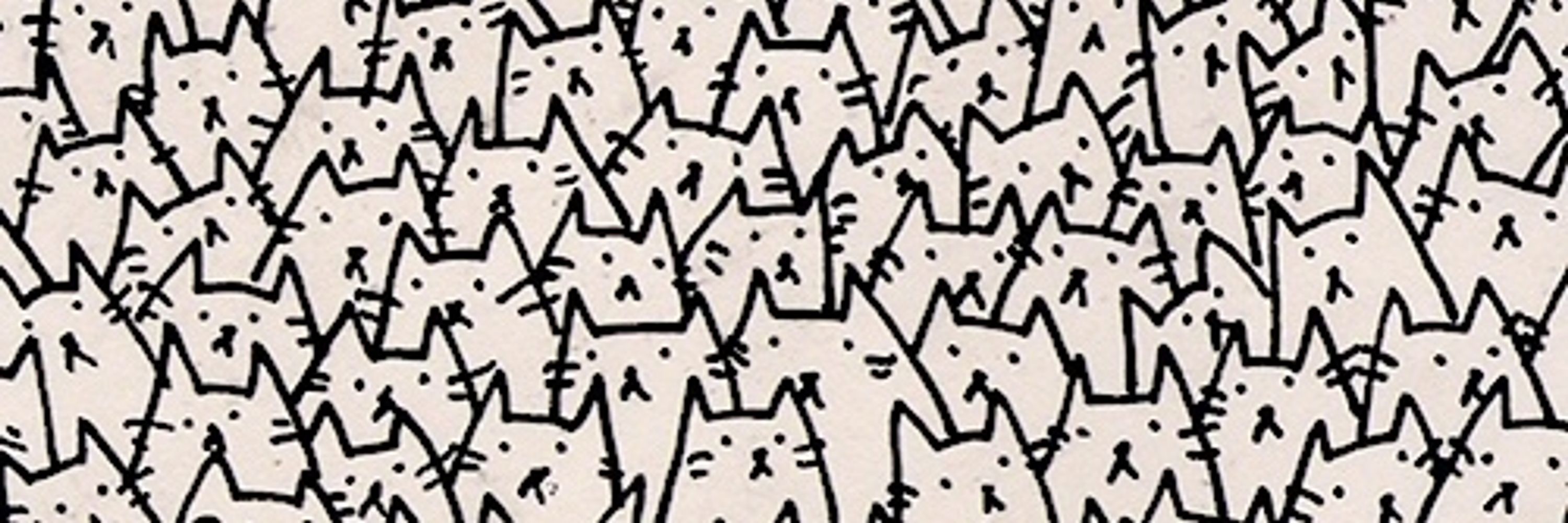 A collection of atoms