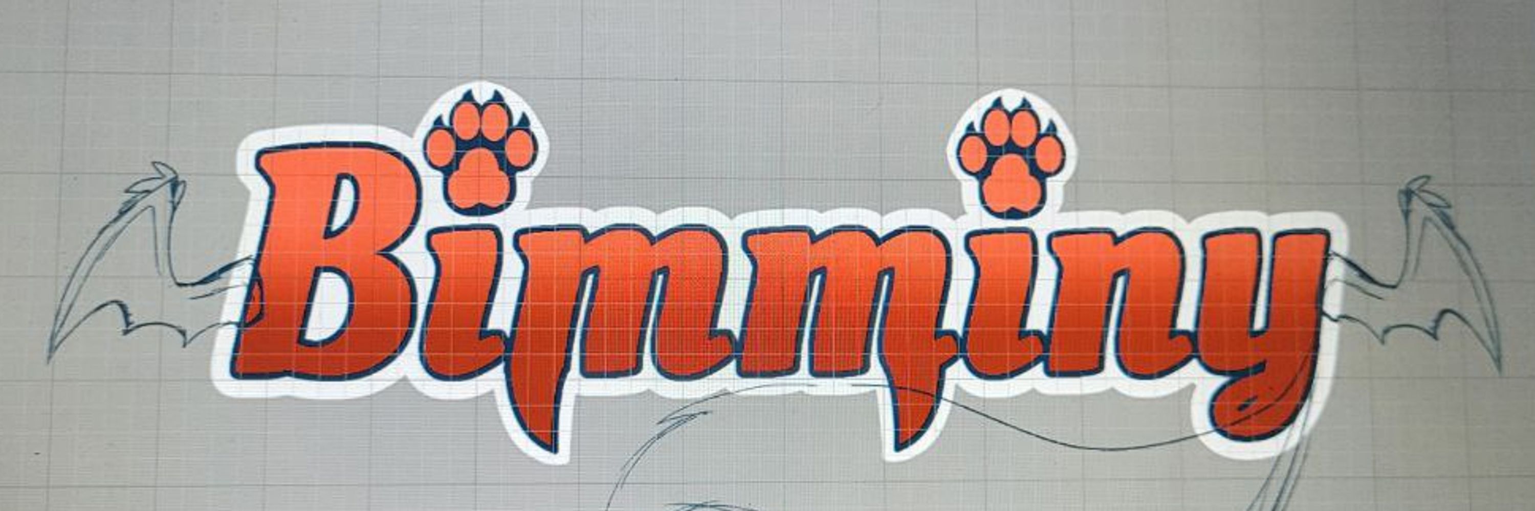 BimminyOfficial
