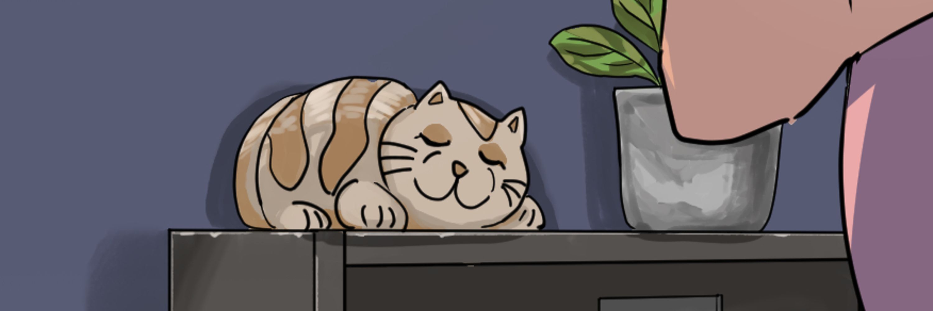 モニヤ