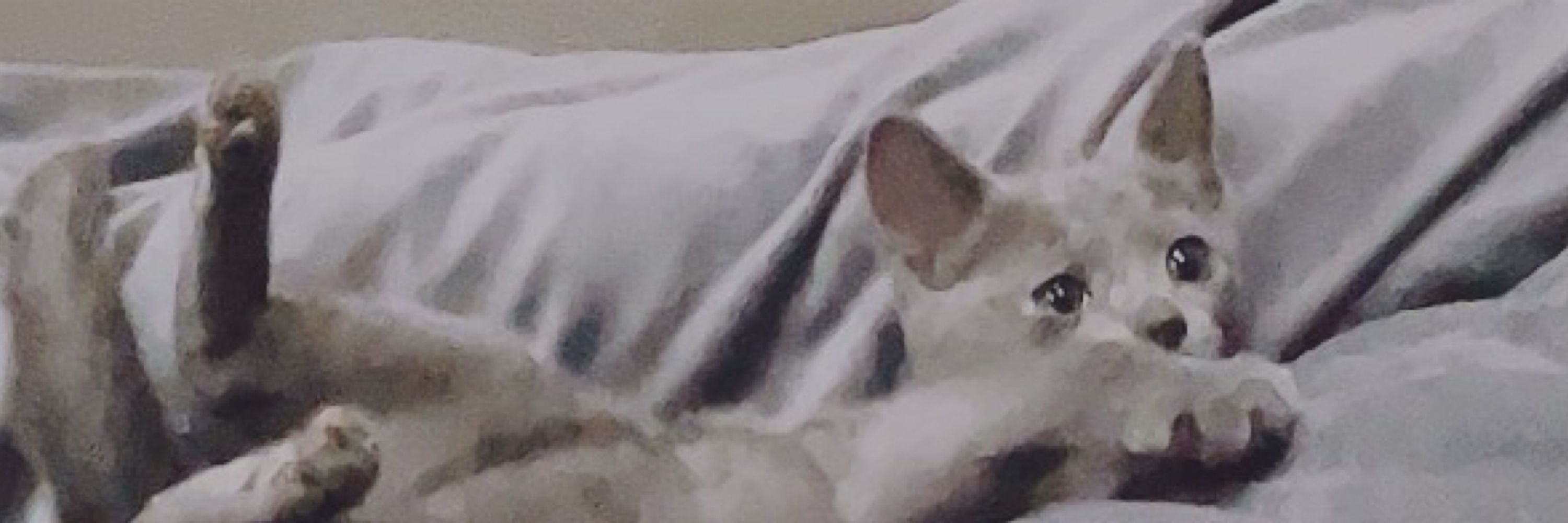 めろちん