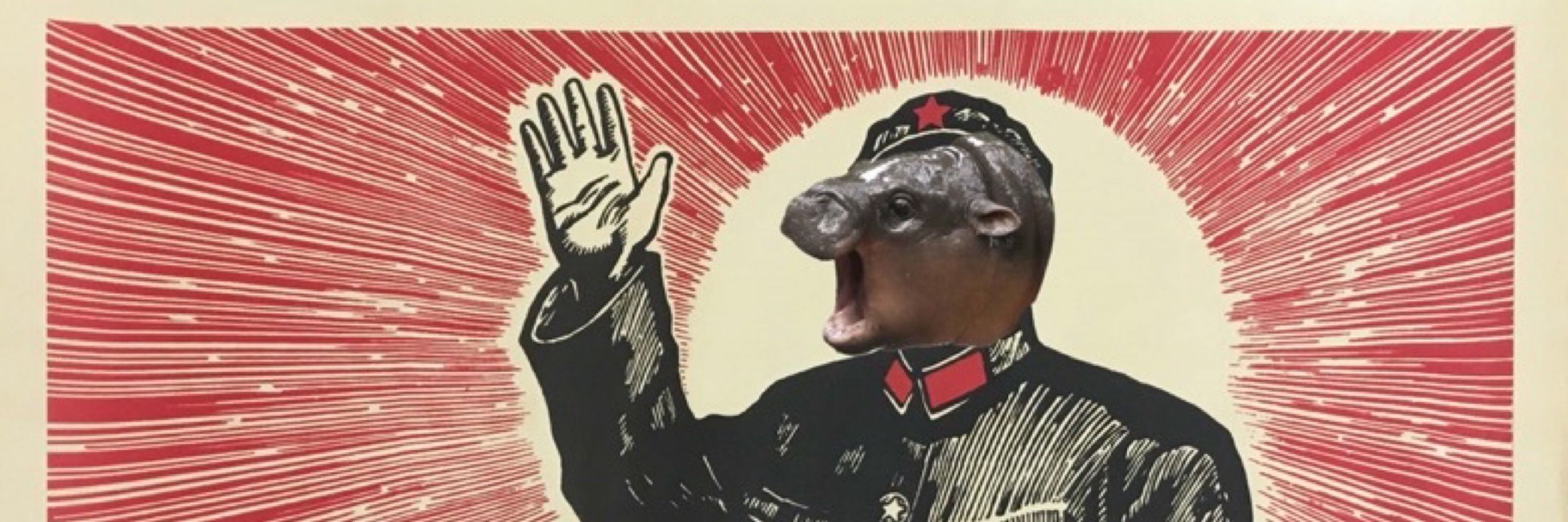 dan