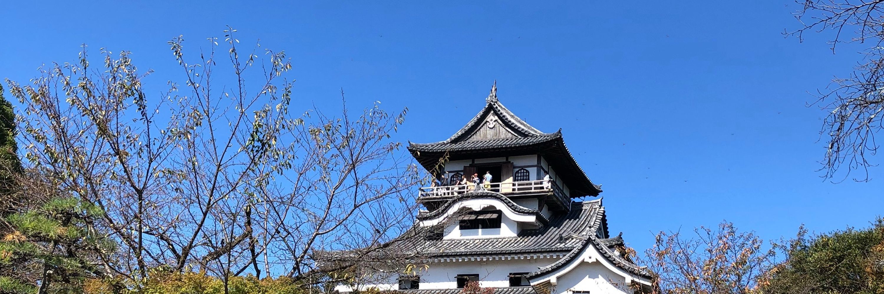 壱瑠