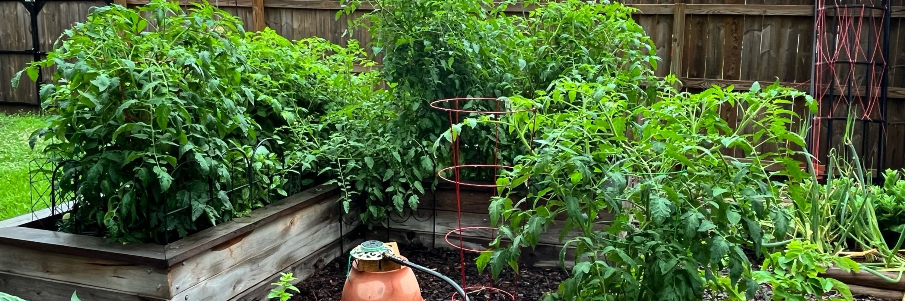 Melanie in the Garden