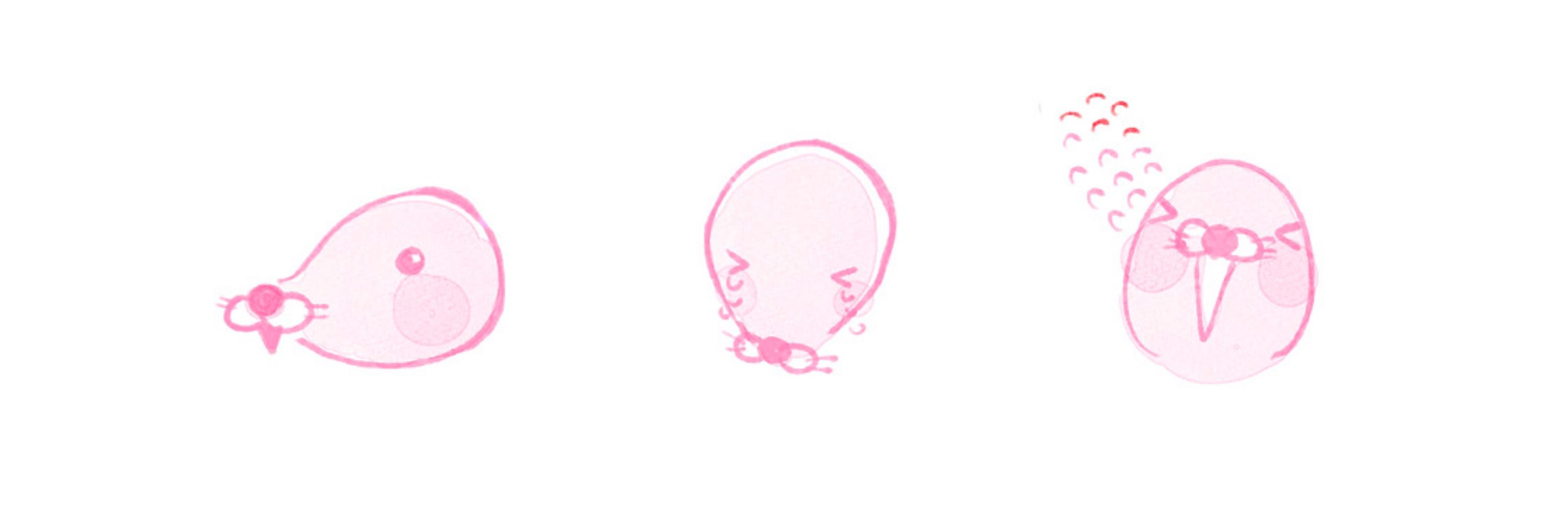 なゆ